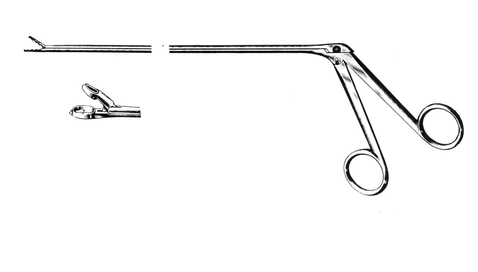 JACKSON BRONŞ-YEMEK BORUSU FORSEPS 30CM